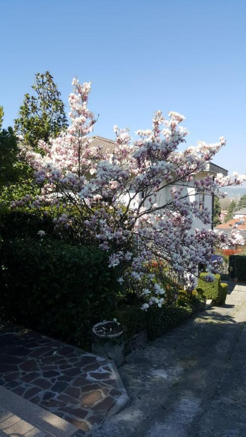 フォルノーヴォ・ディ・ターロ Nel Giardino Di Oz Bed & Breakfast エクステリア 写真