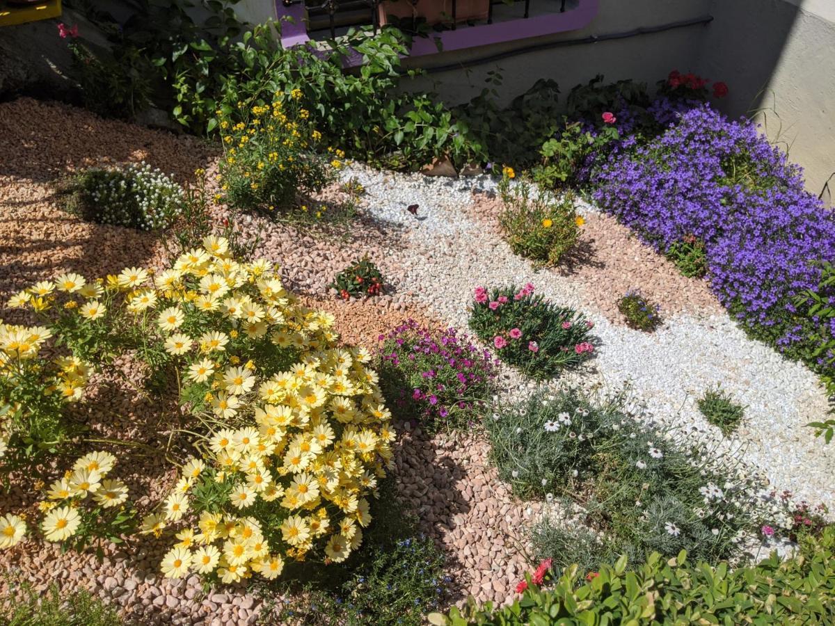 フォルノーヴォ・ディ・ターロ Nel Giardino Di Oz Bed & Breakfast エクステリア 写真